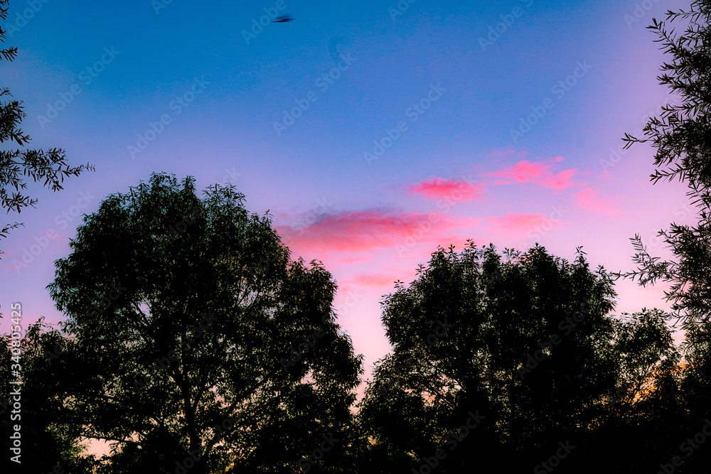 sunset in the sky sunset in the sky