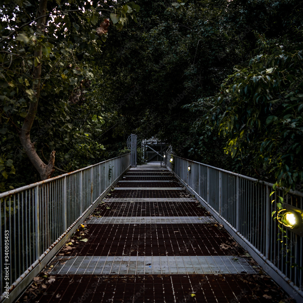 Grass Path