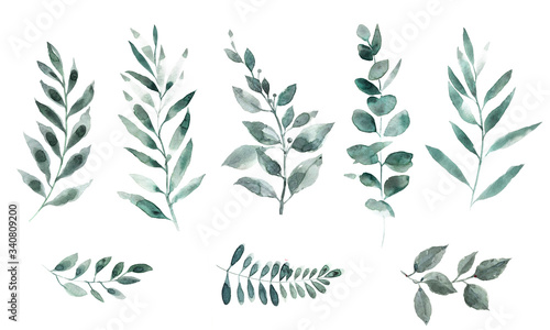 Watercolor clipart green leaves. Tropics leaves set for stylish design invitations.