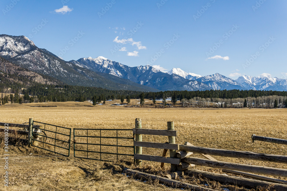 rocky mountain peaks view and yellow country field in spring landscape East Kootenay british columbia canada