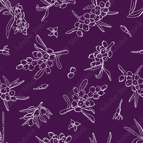 Seamless pattern of white sea buckthorn berries on a dark background. Line art. Stock illustration. Design for fabric, textile, packaging, website, wallpaper.