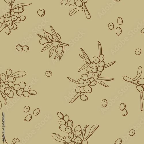 Seamless pattern of sea buckthorn berries. Line art. Stock illustration. Design for fabric, textile, packaging, website, wallpaper.