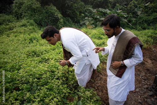 Young Indian Bengali detective and his colleague with traditional wear finding some clue in a grass field in a winter morning. Indian lifestyle.