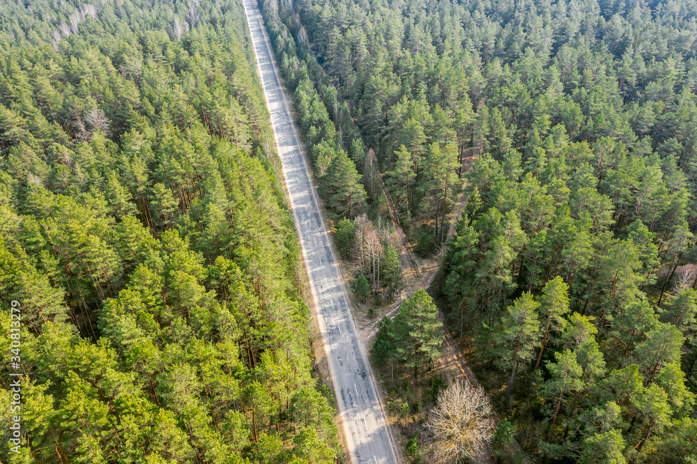 top view of the asphalt road going through dense green forest. drone photography