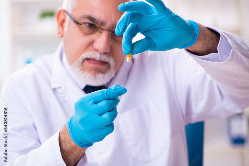 Old male chemist working in the lab Old male chemist working in the lab