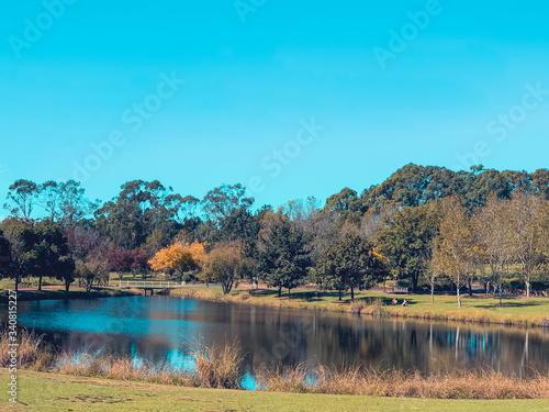 lanscape pond lake space scenery water