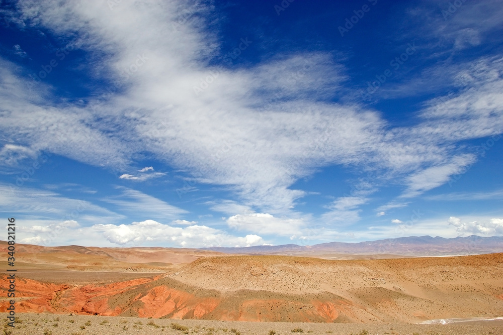 Landscape at the Puna de Atacama with volcano Carachi Pampa in the background, Argentina