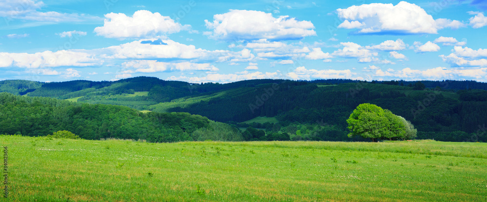 Obraz premium Summer field with blue sky and white big clouds.