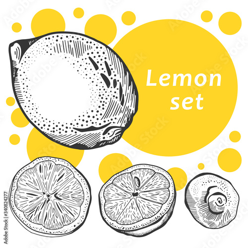 Hand drawn vector illustration of lemon. Set of elements. Whole lemon and slices. Healthy and eco food concept. Local market support. Natural vitamine C resource. Isolated on white background.