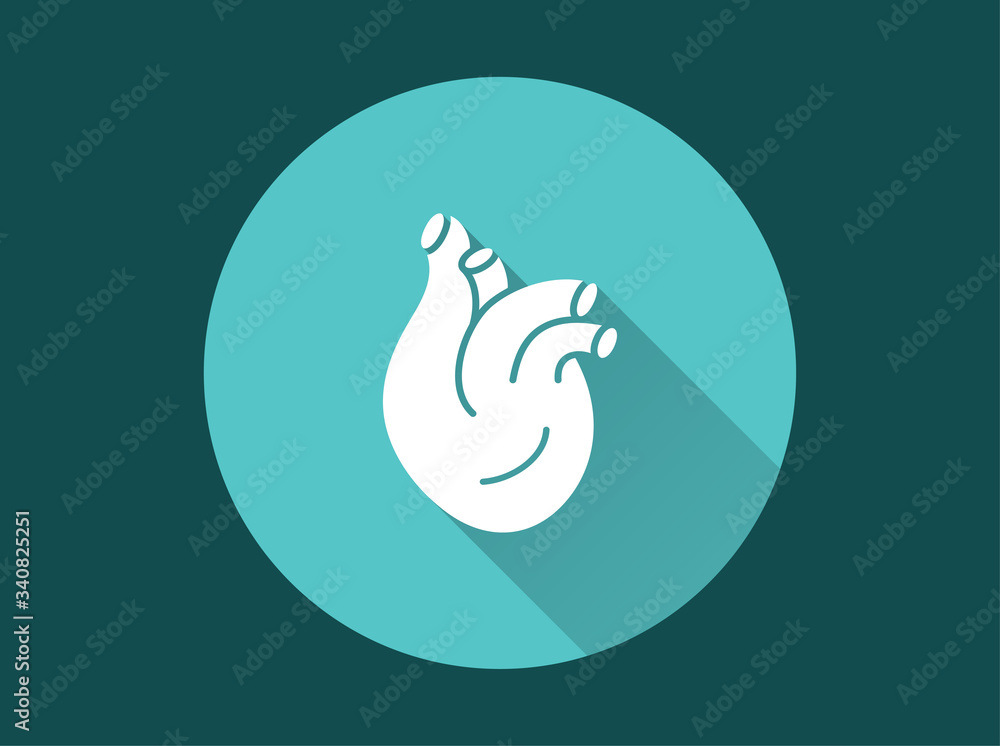Human heart icon for graphic and web design. Human heart icon for graphic and web design.