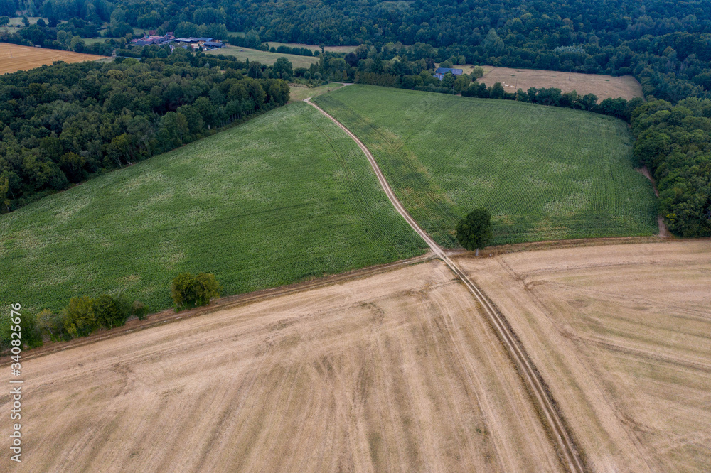 Aerial view of green fields in rural France