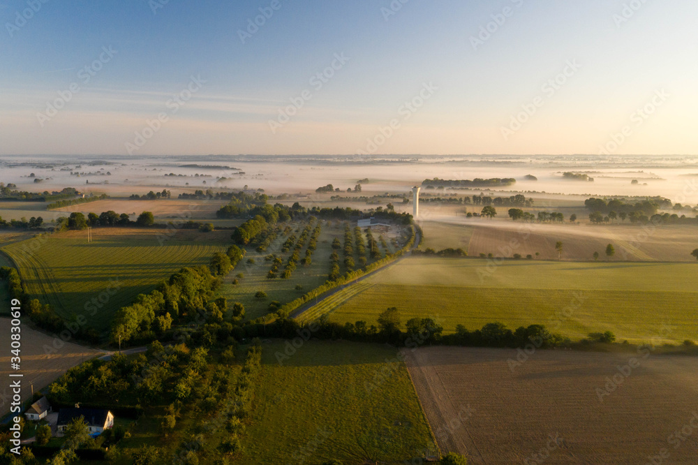 Aerial view of fields and trees under with fog