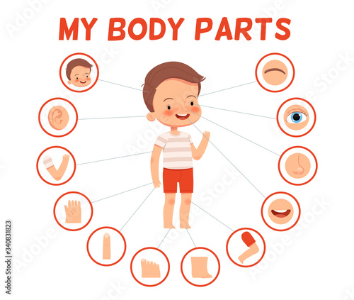 Poster for children learning. Cheerful boy and his body parts in separate pictures