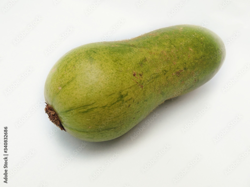 Vegetable wax gourd. Scientific name Benincasa hispida. The plant is a vine grown for its
