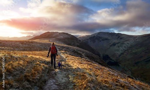Fotografiet A hiker and their dog walking towards the mountain summit of High Spy from Maiden Moor at sunrise on the Derwent Fells in the Lake District, UK