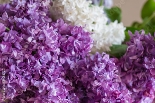 Purple lilac flowers close up, floral texture background