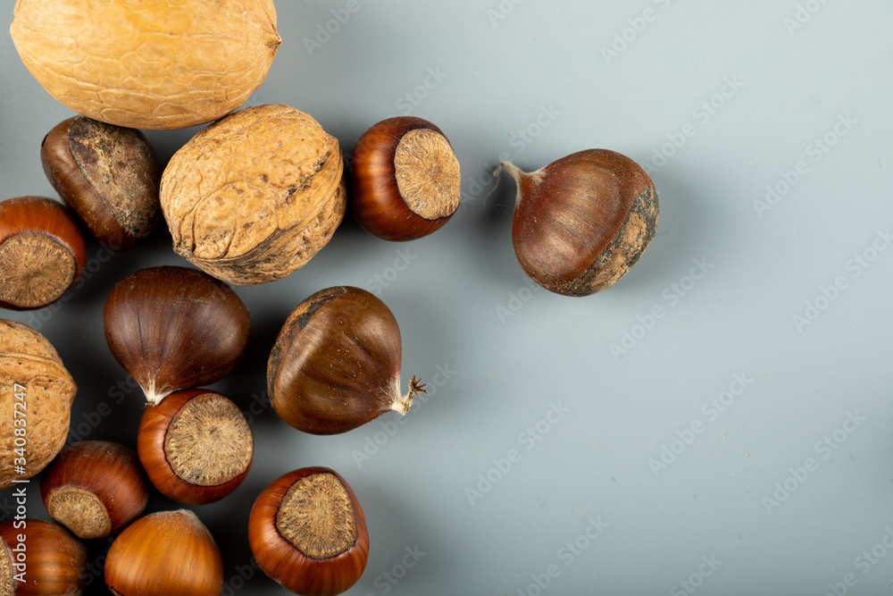 Nuts ,walnuts and chestnuts isolated on blue background Nuts ,walnuts and chestnuts isolated on blue background
