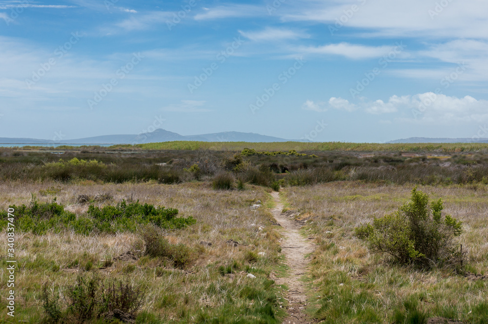 Footpath track in grasslands, plains. Hiking in bushveldt, bush in South Africa