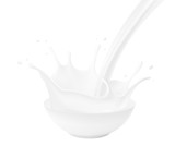 Bowl with milk splashes and drops isolated on white background. Vector illustration. Can be use for your design. EPS10.