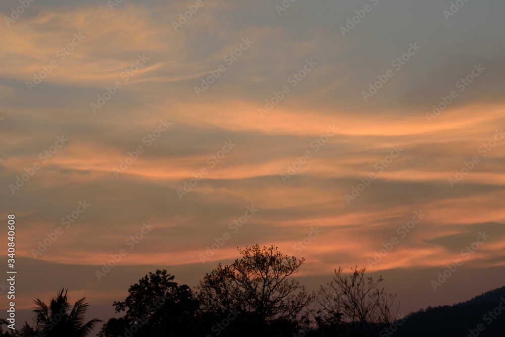 Beautiful twilight sky with clouds after sunset in the evening above the trees Beautiful twilight sky with clouds after sunset in the evening above the trees