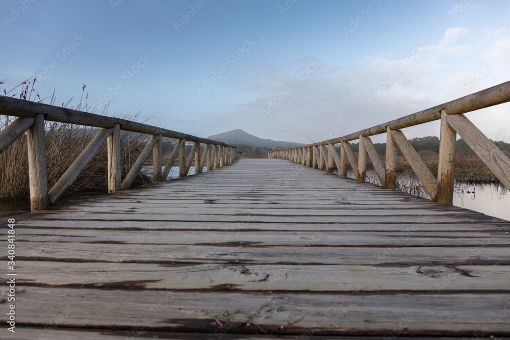 Fototapeta premium woodpath