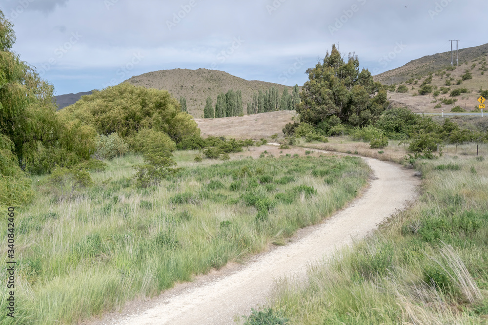 dirt road bending on green shore at Benmore lake, New Zealand