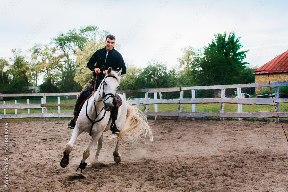 Young guy in a black jacket learning to ride a white arabian horse Young guy in a black jacket learning to ride a white arabian horse