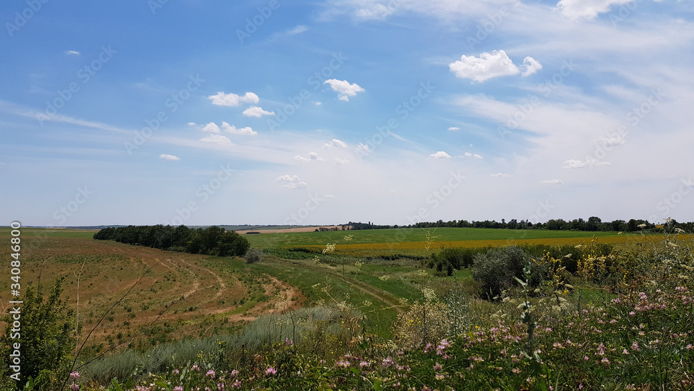 Field of grass and blue sky with clouds. Tranquil landscape of countryside in European country. Rural scene of agricultural industry. Summer view of fields and pastures. Field of grass and blue sky with clouds. Tranquil landscape of countryside in European country. Rural scene of agricultural industry. Summer view of fields and pastures.