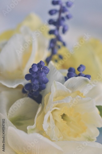 bouquet of blue and yellow flowers