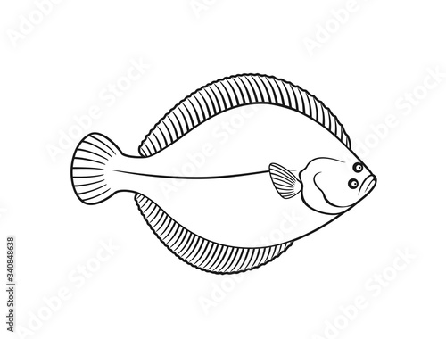 Flounder logo. Isolated flounder on white background
