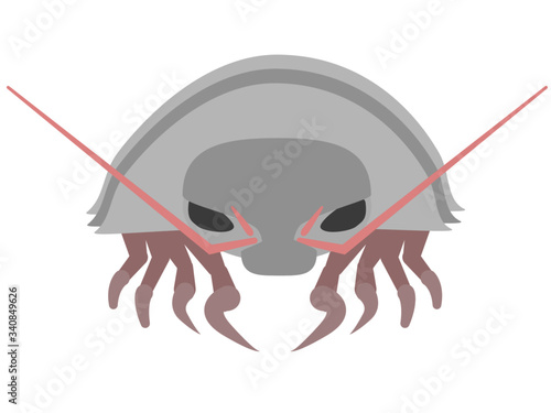 魚_深海生物_ダイオウグソクムシ
