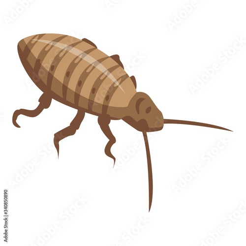 Cockroach bug icon. Isometric of cockroach bug vector icon for web design isolated on white background