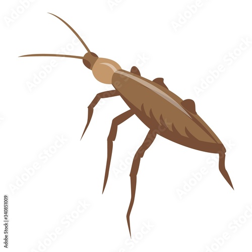 Pest cockroach icon. Isometric of pest cockroach vector icon for web design isolated on white background
