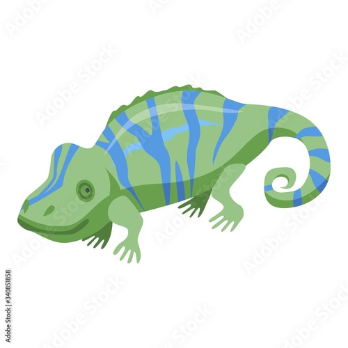 Chameleon icon. Isometric of chameleon vector icon for web design isolated on white background