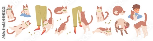 Collection of scenes with cute cat. Various pet emotions. Friendly, scared, sharing food, ready to attack, rubbing, threatening, sharing food, worrying kitty. Vector illustration in flat cartoon style