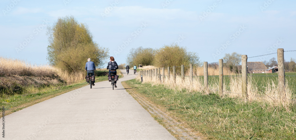 Rear view of people riding bikes on bicycle path