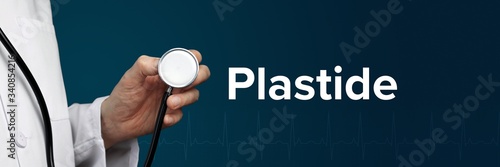 Plastide. Arzt im Kittel hält Stethoskop. Das Wort Plastide steht daneben. Symbol für Medizin, Krankheit, Gesundheit photo