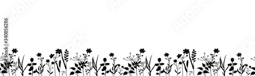 Seamless vector horizontal ornament of field herbs and plants. Black silhouettes of medicinal flowers are drawn in ink by hand. Design on a white background for cosmetics, poster, banner, template. © KrymovaArt