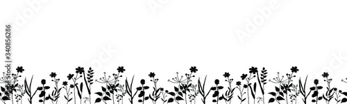Seamless vector horizontal ornament of field herbs and plants. Black silhouettes of medicinal flowers are drawn in ink by hand. Design on a white background for cosmetics, poster, banner, template.