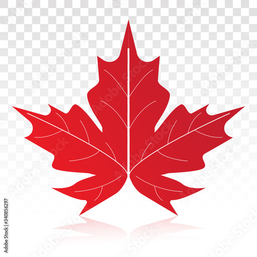 Red maple leaf vector flat icon on a transparent background