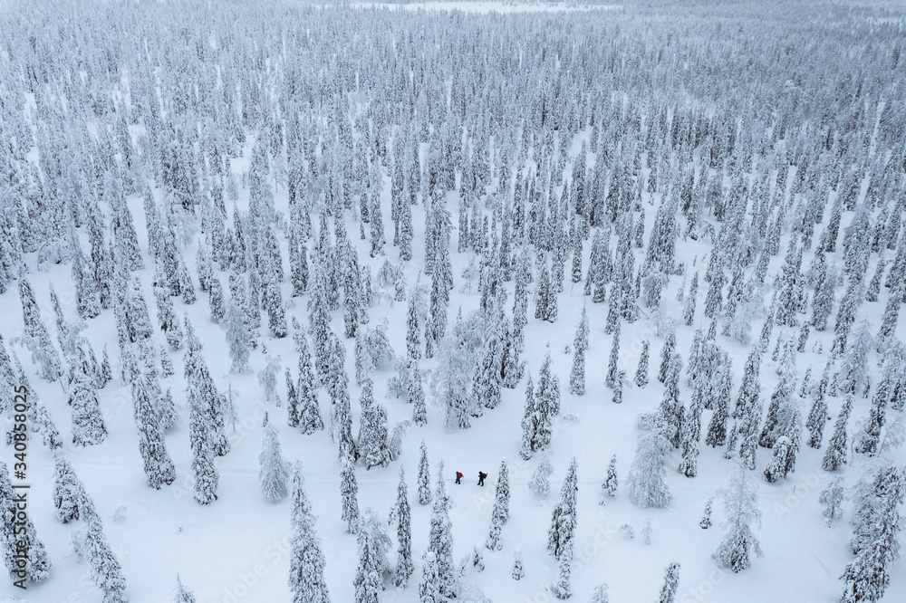 Drone shot of people trekking in a snowy forest in Lapland, Finland Drone shot of people trekking in a snowy forest in Lapland, Finland