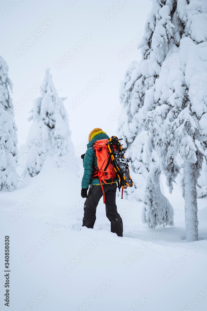 Woman trekking through a snow covered Lapland, Finland Woman trekking through a snow covered Lapland, Finland