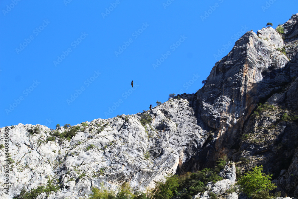 rock climber on the top of mountain rock climber on the top of mountain