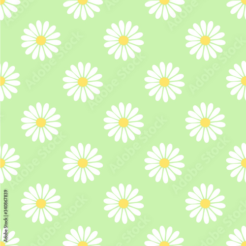 Cute camomile flower on green background.