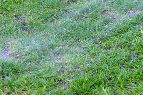 Garten Bewässerung wegen Trockenheit