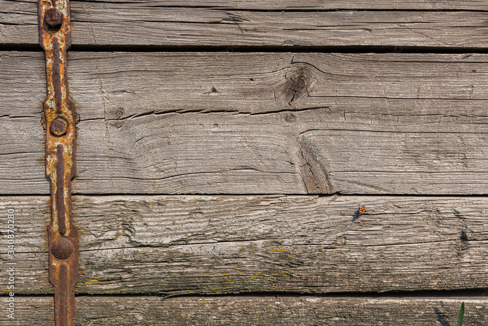 Vintage background from old wooden boards
 - obrazy, fototapety, plakaty 