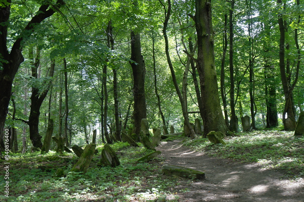 Naklejka premium Cmentarz, Lesko