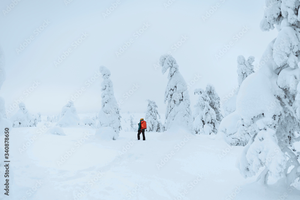 Landscape photographer trekking in a snowy Lapland, Finland
