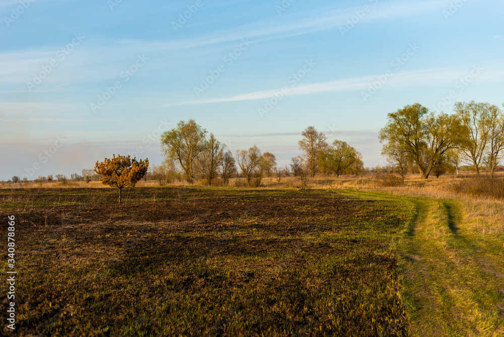 Obraz premium Spring fires in the fields..