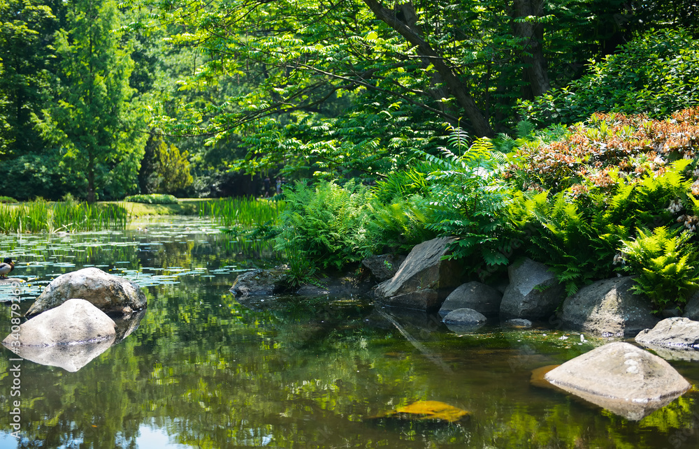 Summer japanese garden. Beautiful nature. City park Summer japanese garden. Beautiful nature. City park